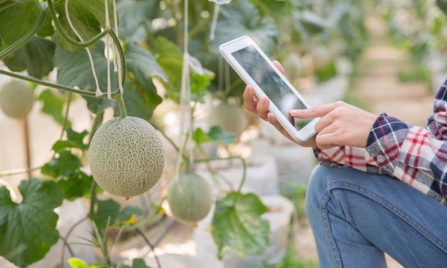 Agricoltura 4.0 grazie a big data e IA: nasce lo smart farming