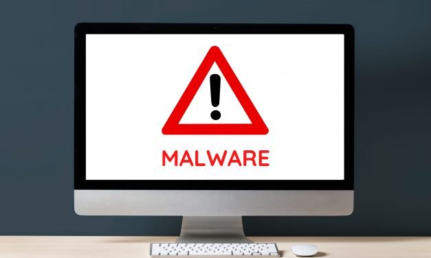 Attacchi malware, ransomware e DDos: quando sono reato