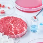 Carne sintetica: perché non è legale produrla