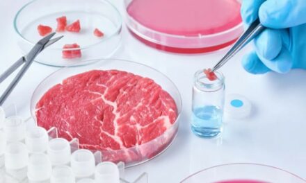 Carne sintetica: perché non è legale produrla